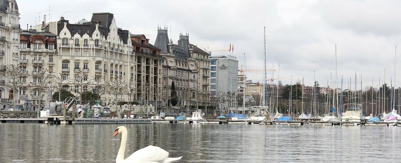 Appartement feng shui Genève